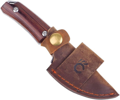 Cool Hand 5.98" Knife with Leather Sheath, Full Tang Compact Horizontal Carry Knife, Leather Belt Loop Sheath with Buckle, Outdoors Drop Point 440C Fixed Blade, Ram Horn Handle