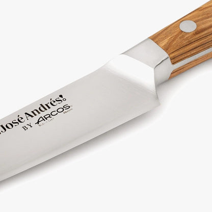 Arcos Jose Andres 10-Inch Fillet Knife Forged Meat Slicer | Professional NITRUM Stainless Steel Blade with Silk Edge | Ideal for Slicing Ham or Prosciutto | Ergonomic Holm Oak Wood Handle