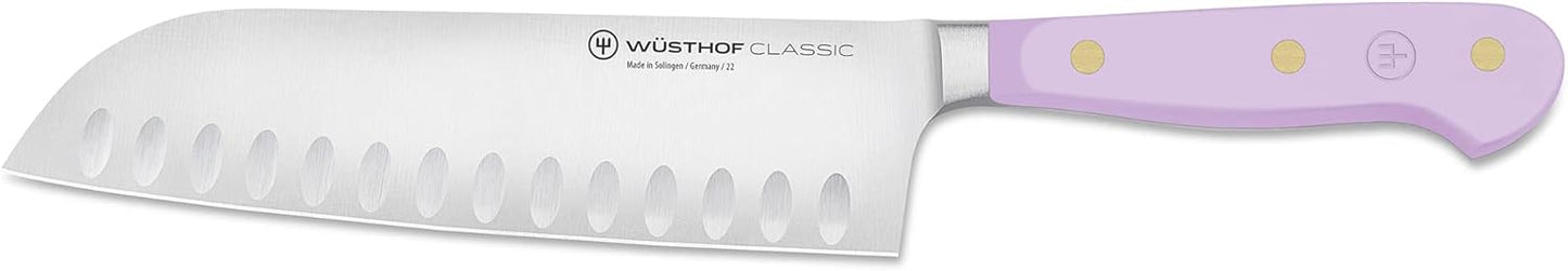 WÜSTHOF Classic Velvet Oyster 7" Santoku Knife