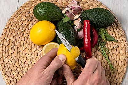 Arcos Set 3 pieces Paring Knife 3 Inch. 3 Paring Knives of Stainless Steel and Ergonomic Polypropylene Handle for Cutting Fruits, Vegetables and Tubers.. Series Nova. Color Black
