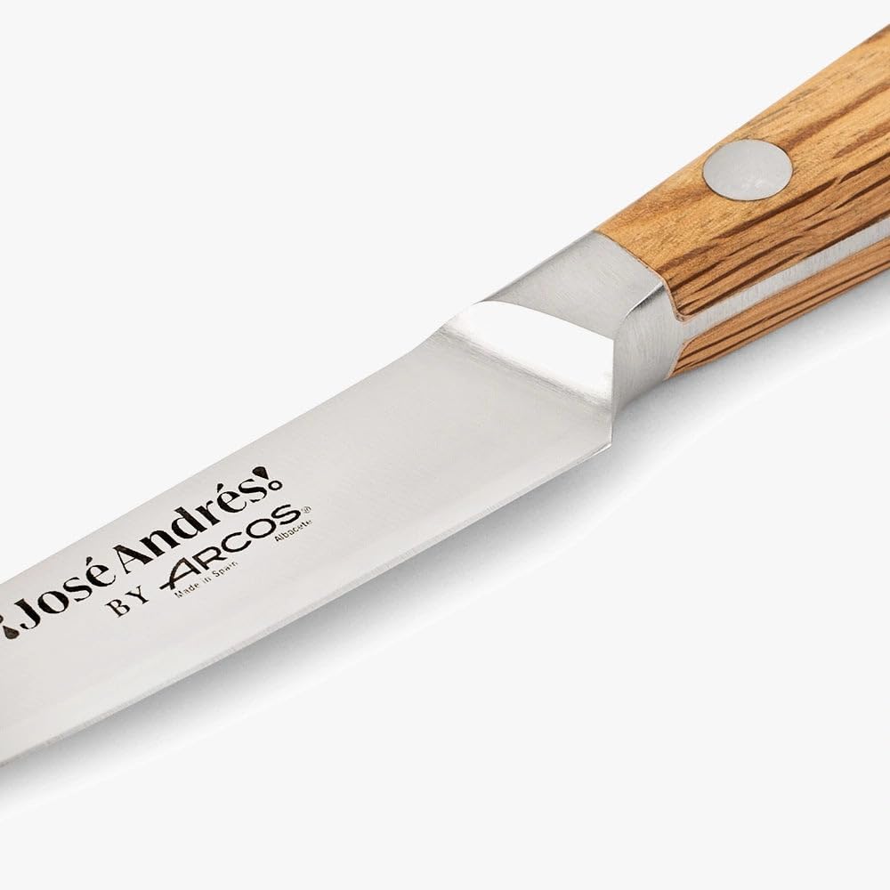 Arcos Jose Andres 10-Inch Fillet Knife Forged Meat Slicer | Professional NITRUM Stainless Steel Blade with Silk Edge | Ideal for Slicing Ham or Prosciutto | Ergonomic Holm Oak Wood Handle