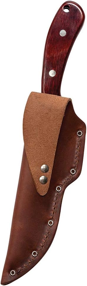 Case WR XX Pocket Knife Ridgeback Hunter Black Zytel Handle W/Nylon Sheath Item #362 - (Ridgeback Hunter)