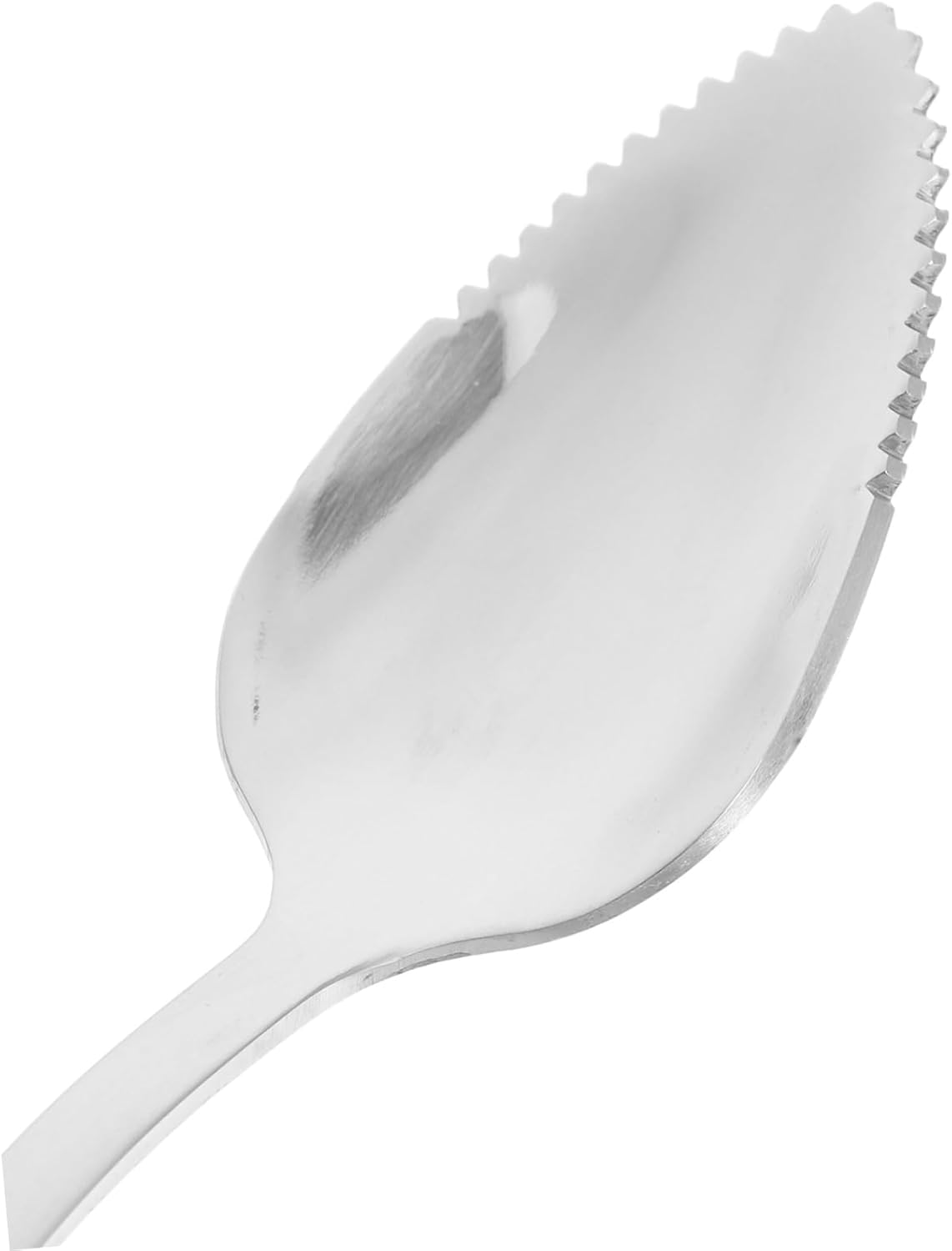 Generic 1 Set Fruit Cutting Set Paring Knives Serrated Spoons Pointed Spoons Kiwi Knife Grapefruit Utensil Tool Fruit Knives Grapefruit Spoons Fruit Knife Stainless Steel Silver