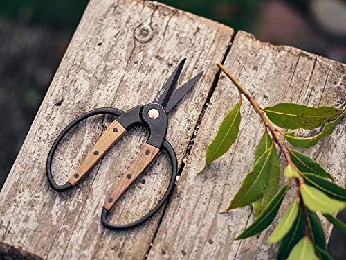Barebones Garden Scissors - Walnut Scissors - Garden Supplies and Indoor Plant Accessories - Plant Shears with Wide Handles - Comfortable Fit Hand Pruners (Large)
