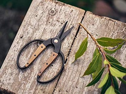 Barebones Garden Scissors - Walnut Scissors - Garden Supplies and Indoor Plant Accessories - Plant Shears with Wide Handles - Comfortable Fit Hand Pruners (Large)