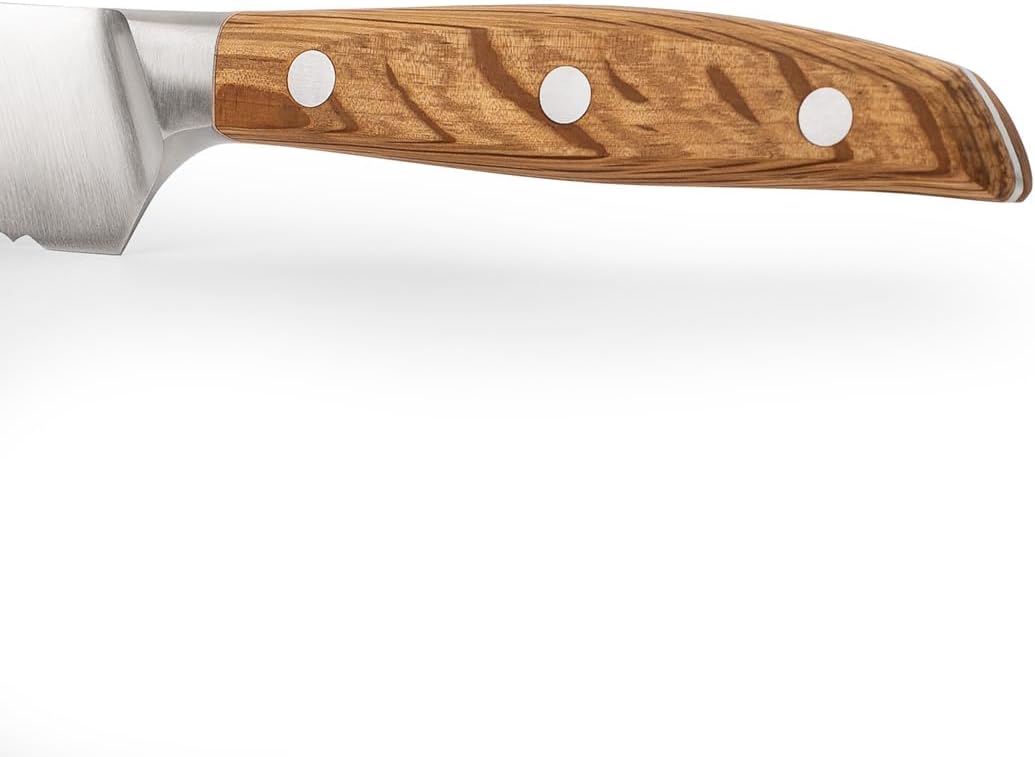 Arcos Jose Andres 10-Inch Fillet Knife Forged Meat Slicer | Professional NITRUM Stainless Steel Blade with Silk Edge | Ideal for Slicing Ham or Prosciutto | Ergonomic Holm Oak Wood Handle