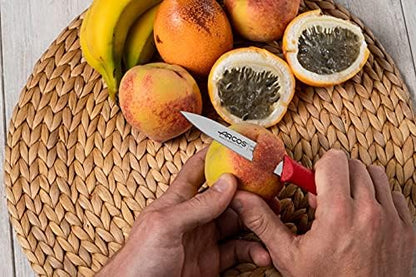 Arcos Set 3 pieces Paring Knife 3 Inch. 3 Paring Knives of Stainless Steel and Ergonomic Polypropylene Handle for Cutting Fruits, Vegetables and Tubers.. Series Nova. Color Black