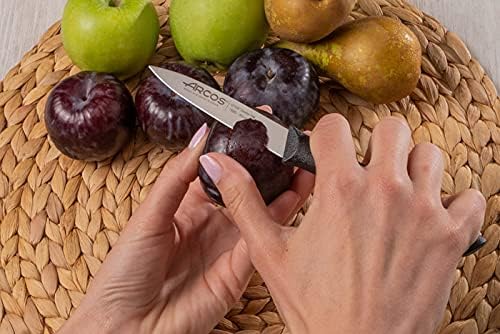 Arcos Set 3 pieces Paring Knife 3 Inch. 3 Paring Knives of Stainless Steel and Ergonomic Polypropylene Handle for Cutting Fruits, Vegetables and Tubers.. Series Nova. Color Black