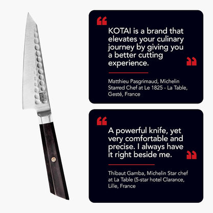 Kiritsuke 8-inch Chef Kitchen Knife | Ultra Sharp Japanese 440C Stainless Steel | Hammered Tsuchime Finish | Ebony Wood Handle | Hidden Full Tang | Bunka Collection Professional Kitchen Knife