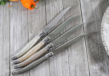 Steak Knives, Set of 4, Navy Blue