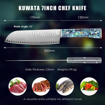 Damascus Chef Knife 8 Inch, Japanese Knife 10Cr15MOV Blade with Hand Forged Hammer Pattern Chef Knife, Hand forged VG-10 steel cooking knife, Ergonomic abalone shell G-10 handle with Gift Box