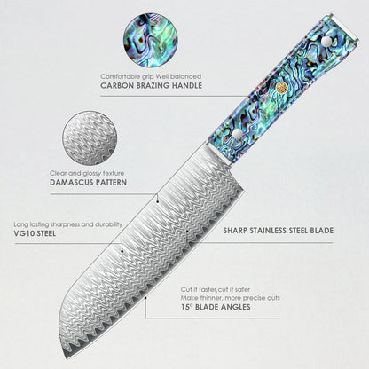 Damascus Chef Knife 8 Inch, Japanese Knife 10Cr15MOV Blade with Hand Forged Hammer Pattern Chef Knife, Hand forged VG-10 steel cooking knife, Ergonomic abalone shell G-10 handle with Gift Box