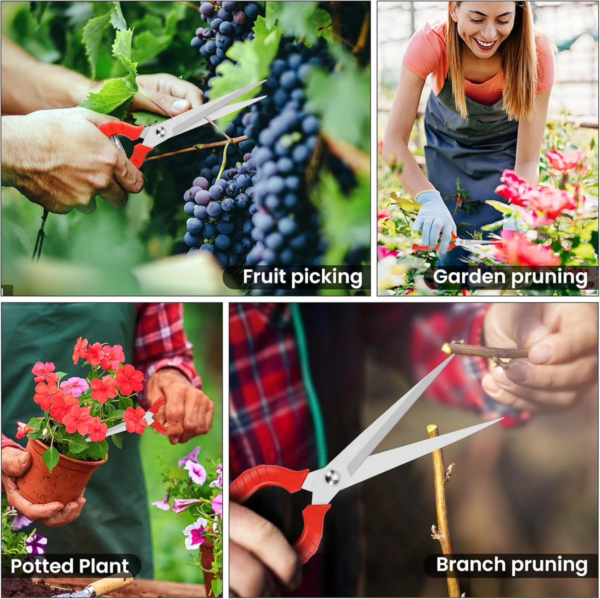 Extra Long Pruning Shears, Gardening Hand Pruners with Stainless Steel Blades, Garden scissors for Arranging Flowers, Trimming Plants, Harvesting Herbs, Fruits or Vegetables, 9.5IN