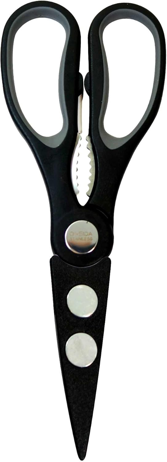 Stainless Steel Magnetic Shears, 2-Pack