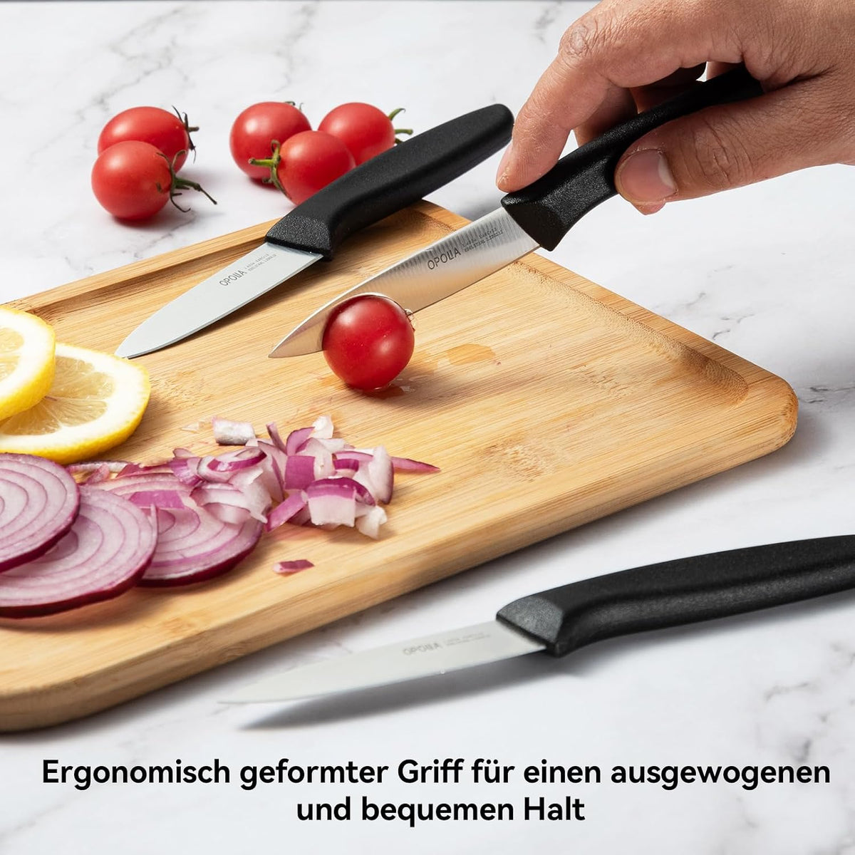 Paring Knife Set of 6,Stainless Stee,Straight Edge,PP Handle,Color