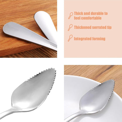 Serrated Fruit Spoon, Grapefruit Knife – Stainless Steel Dessert Spoon with Serrated Edge, Non-Stick Scoop for Papaya, Orange & Ice Cream, 6.54" x 1.18" x 0.39" (Mix 4pcs)
