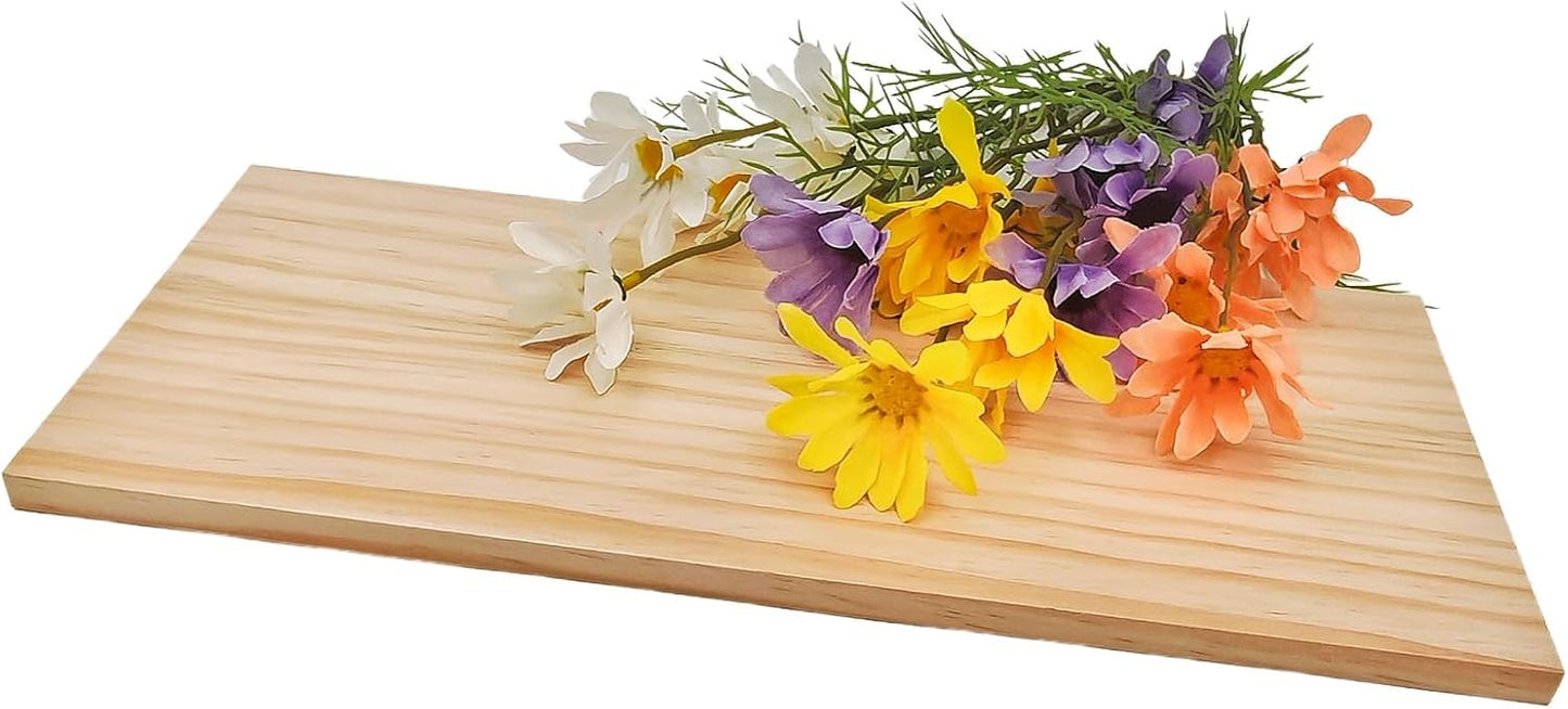 4PCS Rectangle Wood Boards Unfinished Wood Blocks for Crafting, 8x6x1in Blank Whittling Wooden Blocks for Wood Carving,Painting & Burning