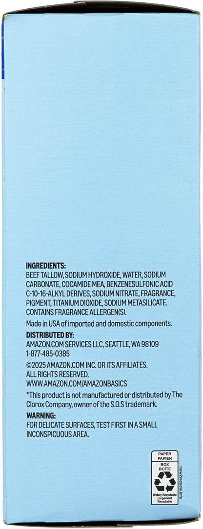 Amazon Basics Steel Wool Soap Pads, Reusable, Cuts Grease and Removes Rust, 10 Count, Pack of 1