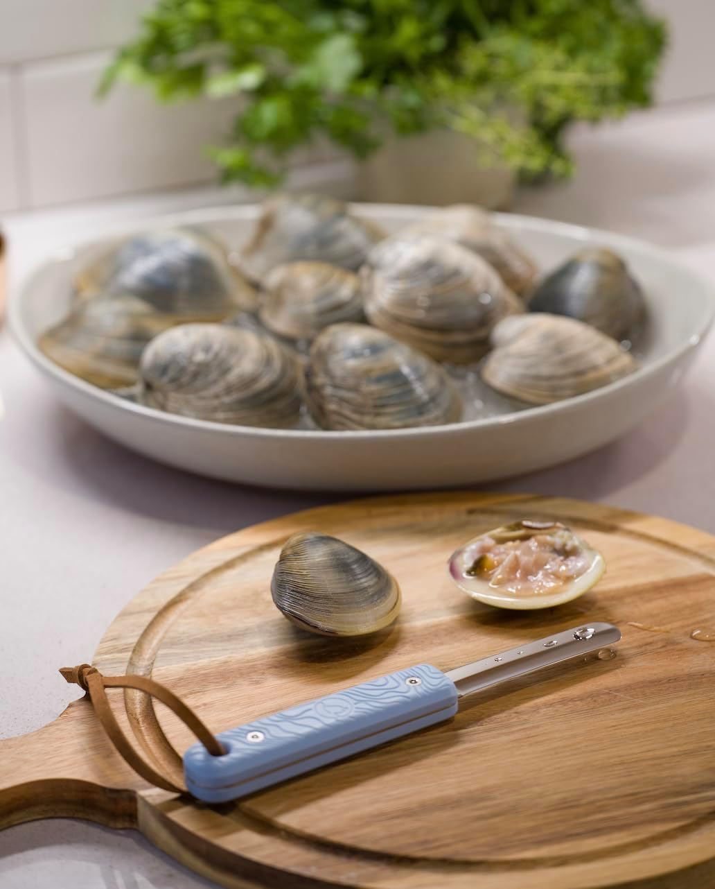 Jetsam Eco-Friendly Clam Knife