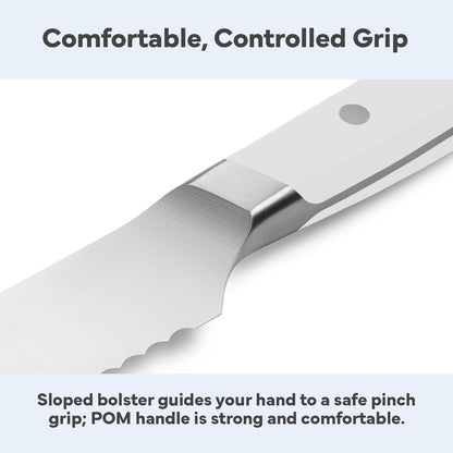 Misen Serrated Bread Knife - High-Carbon Japanese AUS8 Steel - Perfect for Soft Foods, Bread, Pastries, and Fruits - Verstatile Slicer, Razor-Sharp Edge, Durable Blade, Ergonomic Handle - 5", Blue