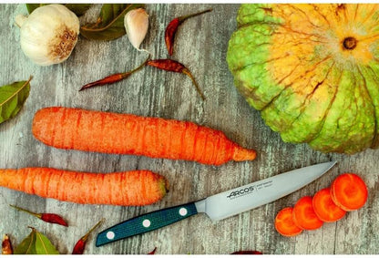 Arcos Forged Paring Knife 4 Inch Stainless Steel. Sharp Kitchen Knife for Peeling Fruits and Vegetables. Ergonomic Polyoxymethylene Handle and 100mm Blade. Series Manhattan. Color Black