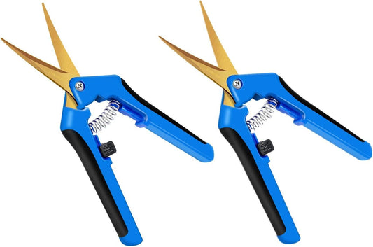 iPower 6.5 Inch Garden Hand Pruner Shears with Straight Stainless Steel Scissors, for Hydroponic Trimming Herb/Flowers/Vegetables/Plants, Blue, 1-Pack