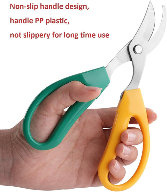 Garden Scissors, Stainless Steel Garden Bonsai Pruning Shears, Anti-Slip Softgrip SnipGardening Tools Garden Shears for Plants Herb (Modern)