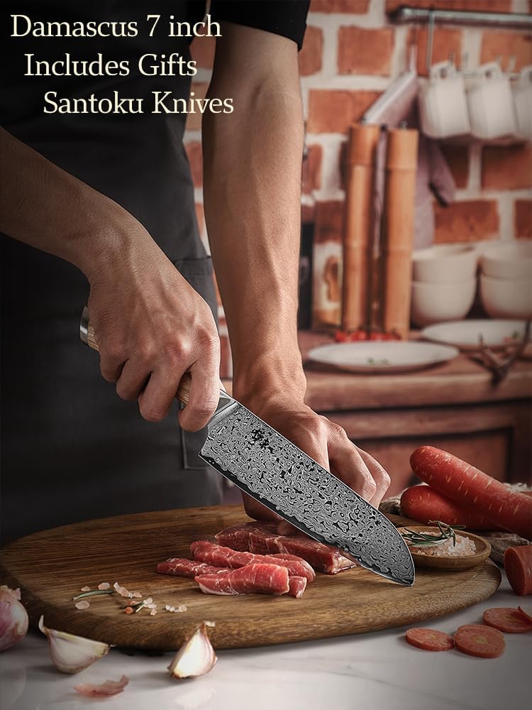 DONGSUN 8 Inch Damascus Chef Knife with North American Black Walnut Sheath, 67-Layer VG10 Forged Steel Japanese Gyuto, Professional Durable Sharpness