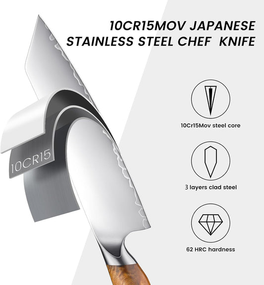 Chef Knife, 8-inch Hand Forged Professional Kitchen Knife with Japanese 10Cr15MoV Stainless Steel Gyuto Knife with Blue Ergonomic Handle, Razor-Sharp Cooking Knife in Gift Box