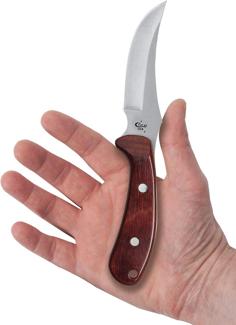 Case WR XX Pocket Knife Ridgeback Hunter Black Zytel Handle W/Nylon Sheath Item #362 - (Ridgeback Hunter)