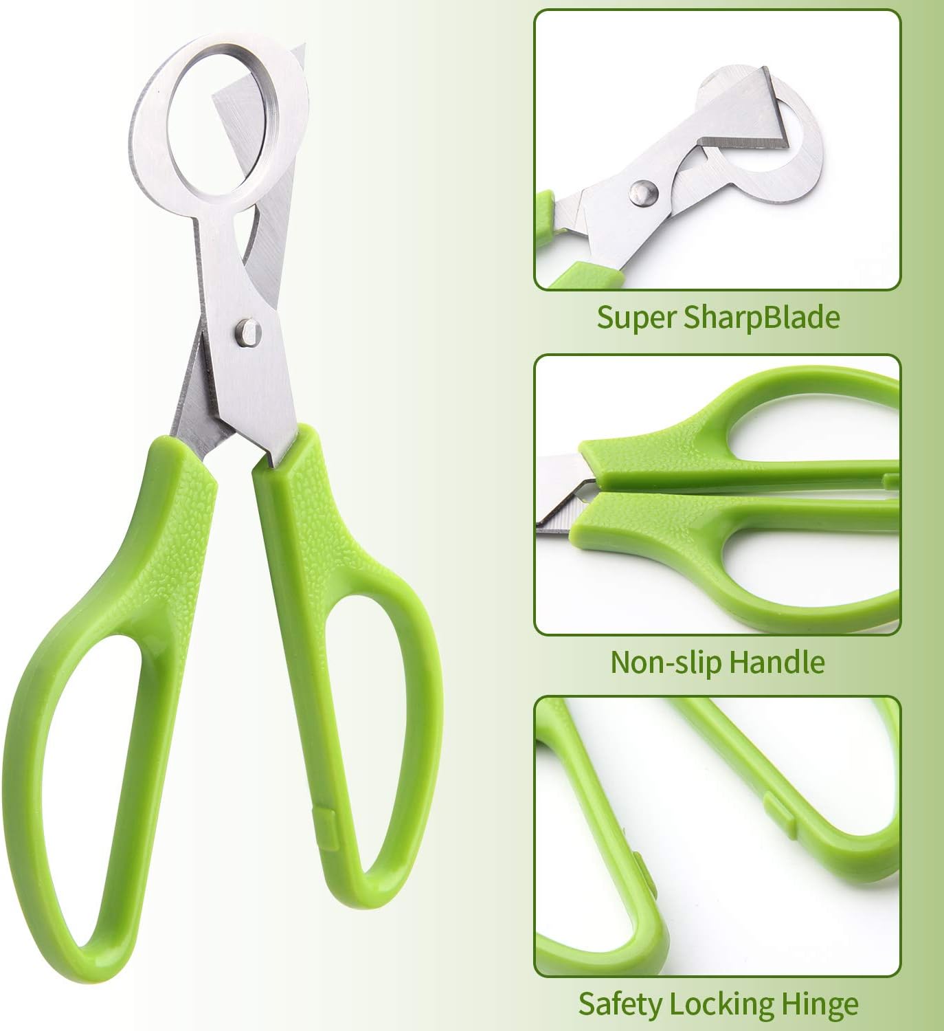 Calary 3Pcs Quail Egg Cutter Scissors Kitchen Egg Shears Tool (Green)