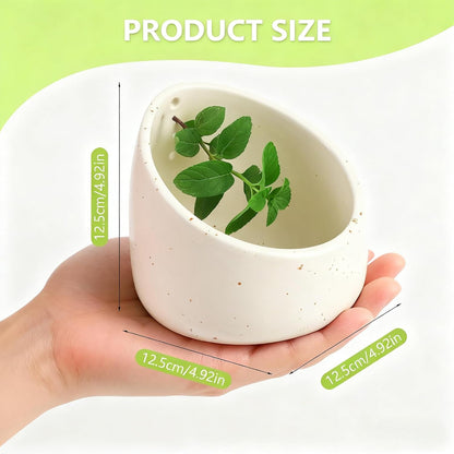 Pottery Herb Stripper Bowl Set – 2 Piece, Including 5-Blade Stainless Steel Herb Cutter Scissors, Herb Stripping Tool & Handmade Pottery Herb Stripper Bowl, For Stripping Leaves and Rhizomes (Green)