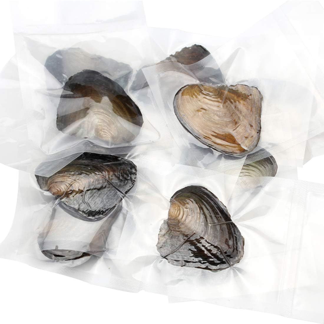 10PC Freshwater Pearl Cultured Oyster with Pearls Inside - Love Wish Gift for Children, Family, Friends - Perfect for Parties (6-8mm, 10PC)