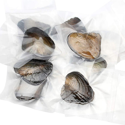 10PC Freshwater Pearl Cultured Oyster with Pearls Inside - Love Wish Gift for Children, Family, Friends - Perfect for Parties (6-8mm, 10PC)