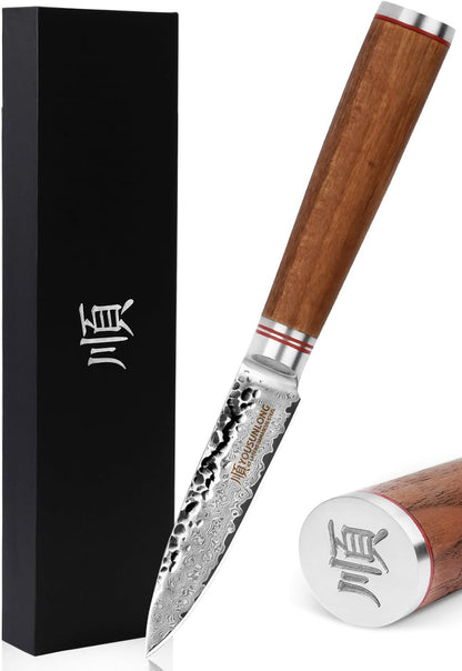 YOUSUNLONG Paring Knife 3.5 inch Peeling Knives Japanese 67 Layers Hammered Damascus Steel with Natural Leadwood Handle