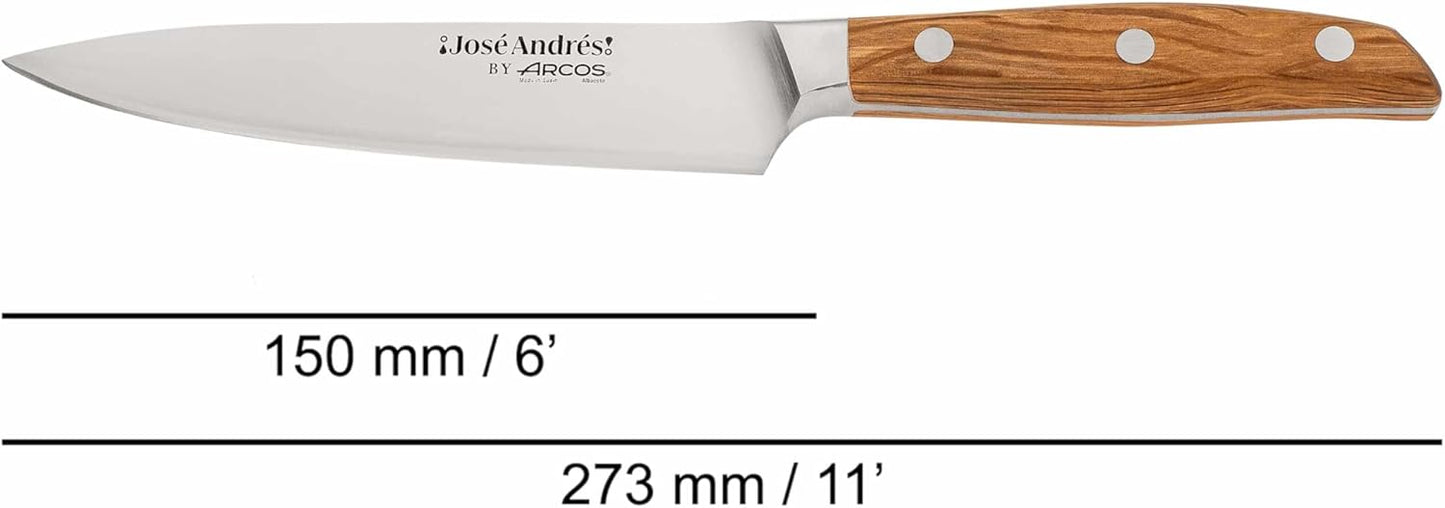 Arcos Jose Andres 10-Inch Fillet Knife Forged Meat Slicer | Professional NITRUM Stainless Steel Blade with Silk Edge | Ideal for Slicing Ham or Prosciutto | Ergonomic Holm Oak Wood Handle