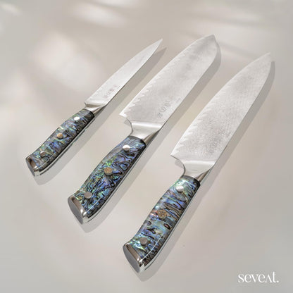 Damascus Kitchen Knife Set | 67-Layer Damascus Steel | Professional Japanese Chef Knife Set | Ergonomic Wood & Resin Handle | Gift Box Included (Black, 5-Piece Set)