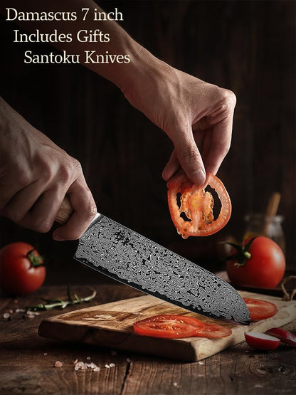 DONGSUN 8 Inch Damascus Chef Knife with North American Black Walnut Sheath, 67-Layer VG10 Forged Steel Japanese Gyuto, Professional Durable Sharpness