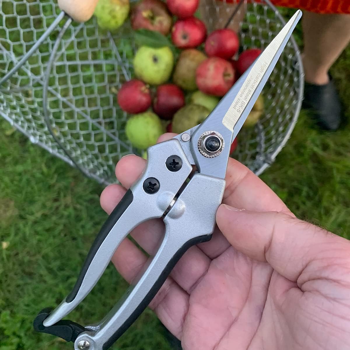 Pruning Shears - Garden Scissors Florist Snips - 2.5” Blades - Flower Scissors for Cutting Fresh Flowers, Trimming, or Harvesting Herbs or Fruit - Pruners for Gardening Tools by Kings County Tools