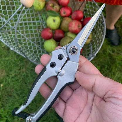 Pruning Shears - Garden Scissors Florist Snips - 2.5” Blades - Flower Scissors for Cutting Fresh Flowers, Trimming, or Harvesting Herbs or Fruit - Pruners for Gardening Tools by Kings County Tools
