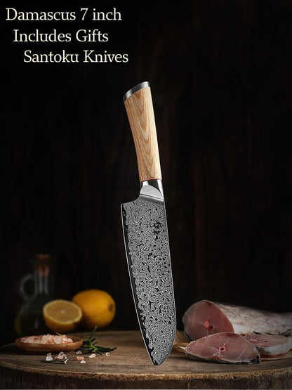 DONGSUN 8 Inch Damascus Chef Knife with North American Black Walnut Sheath, 67-Layer VG10 Forged Steel Japanese Gyuto, Professional Durable Sharpness