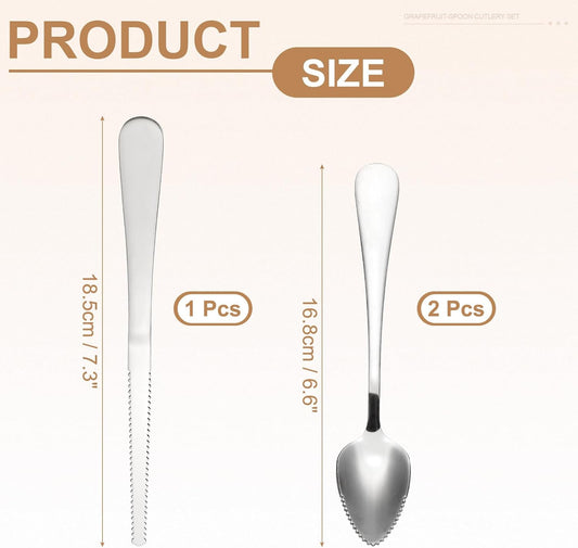 PATIKIL 4PCS Grapefruit-Spoons with Serrated Edge, Grapefruit-Spoons Serrated, Silver, 2 Set