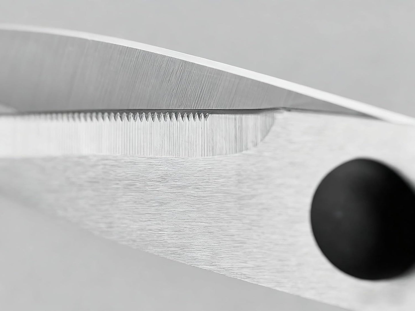 Kitchen Scissors, Pull-Apart Kitchen Shears – Heavy-Duty Stainless Steel Scissors for Poultry, Herbs & Multi-Purpose Use, Easily Detachable for Deep Cleaning