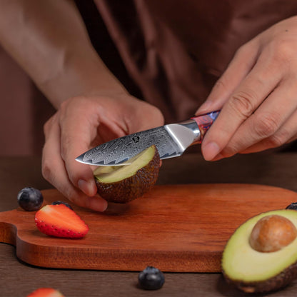 WILDMOK Paring Knife 3.5 Inch, Japanese Damascus Fruit Knife, Small peeling knife Perfect for Cutting Fruit Vegetables Petty Knife