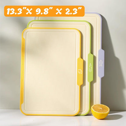 Plastic Cutting Boards for Kitchen, 4-Pieces Cutting Board With Food Icons And Storage Stand, Easy Grip Handle, Professional Chopping Board Set for Meat, Veggies, Fruits（12.9"X 9.4" X 3.1")