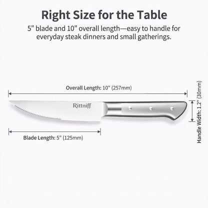 Steak Knives Set of 4, 5-Inch Serrated Stainless Steel Steak Knife Set with Wide Stainless Handle, Gift-Ready Box for Steak Night, BBQ, Housewarming & Wedding