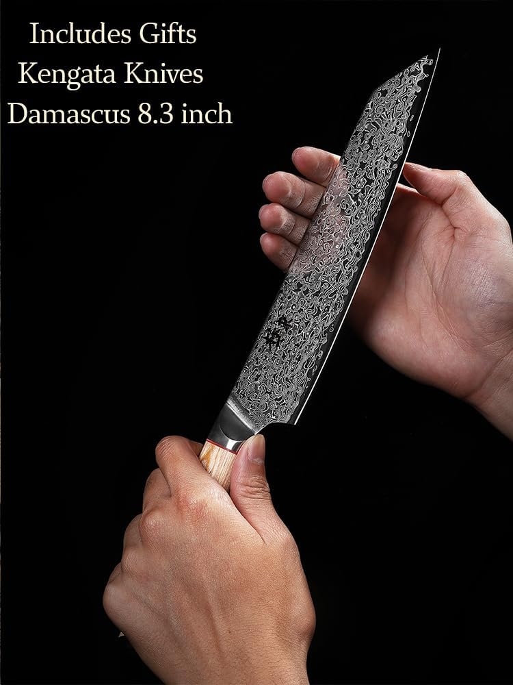 DONGSUN 8 Inch Damascus Chef Knife with North American Black Walnut Sheath, 67-Layer VG10 Forged Steel Japanese Gyuto, Professional Durable Sharpness