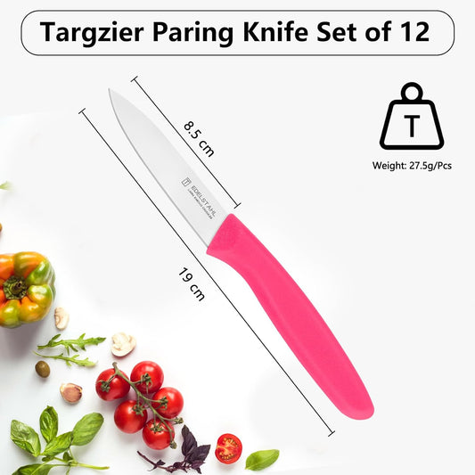Paring and Garnishing Knife,Fruit Knife Set,12 Pieces Stainless Steel Paring Knives,Straight Edge Small Knife Set for Cutting Fruits and Vegetable,Spear Point,Ergonomic Handle,Multicolor