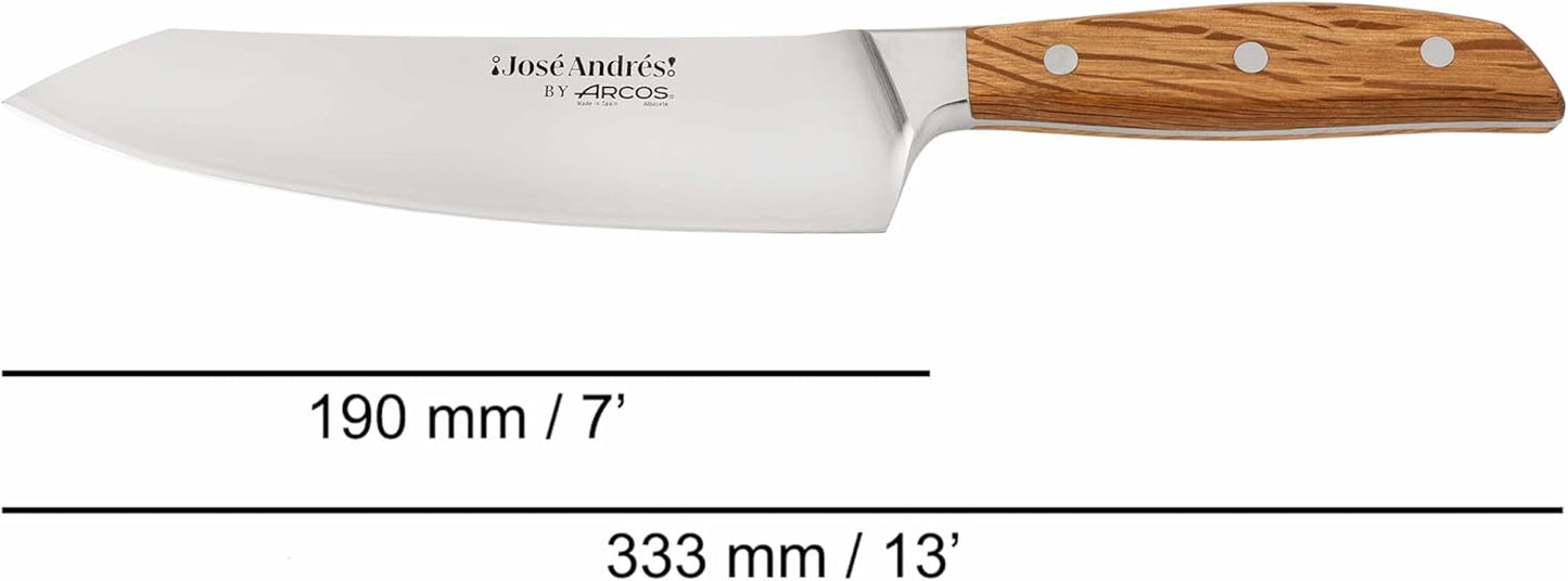 Arcos Jose Andres 10-Inch Fillet Knife Forged Meat Slicer | Professional NITRUM Stainless Steel Blade with Silk Edge | Ideal for Slicing Ham or Prosciutto | Ergonomic Holm Oak Wood Handle