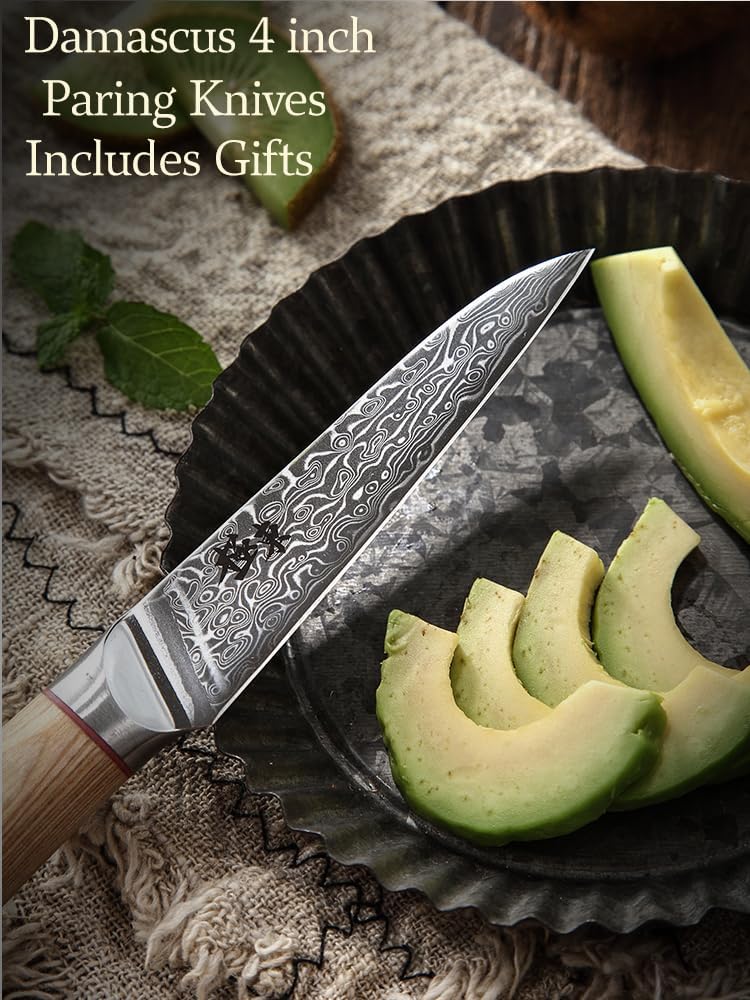 DONGSUN 8 Inch Damascus Chef Knife with North American Black Walnut Sheath, 67-Layer VG10 Forged Steel Japanese Gyuto, Professional Durable Sharpness